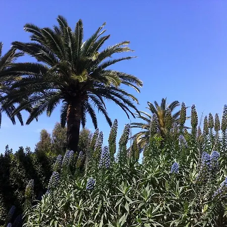 La Graziosa Apartament